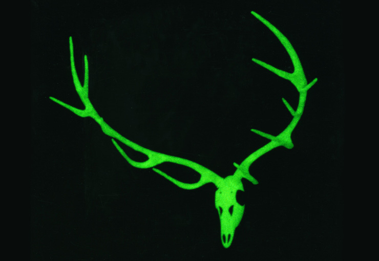 stagfloor-02.jpg